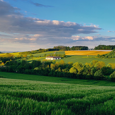 Valorizzazione dell’attività agrituristica